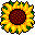 131.gif