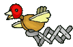 user posted image